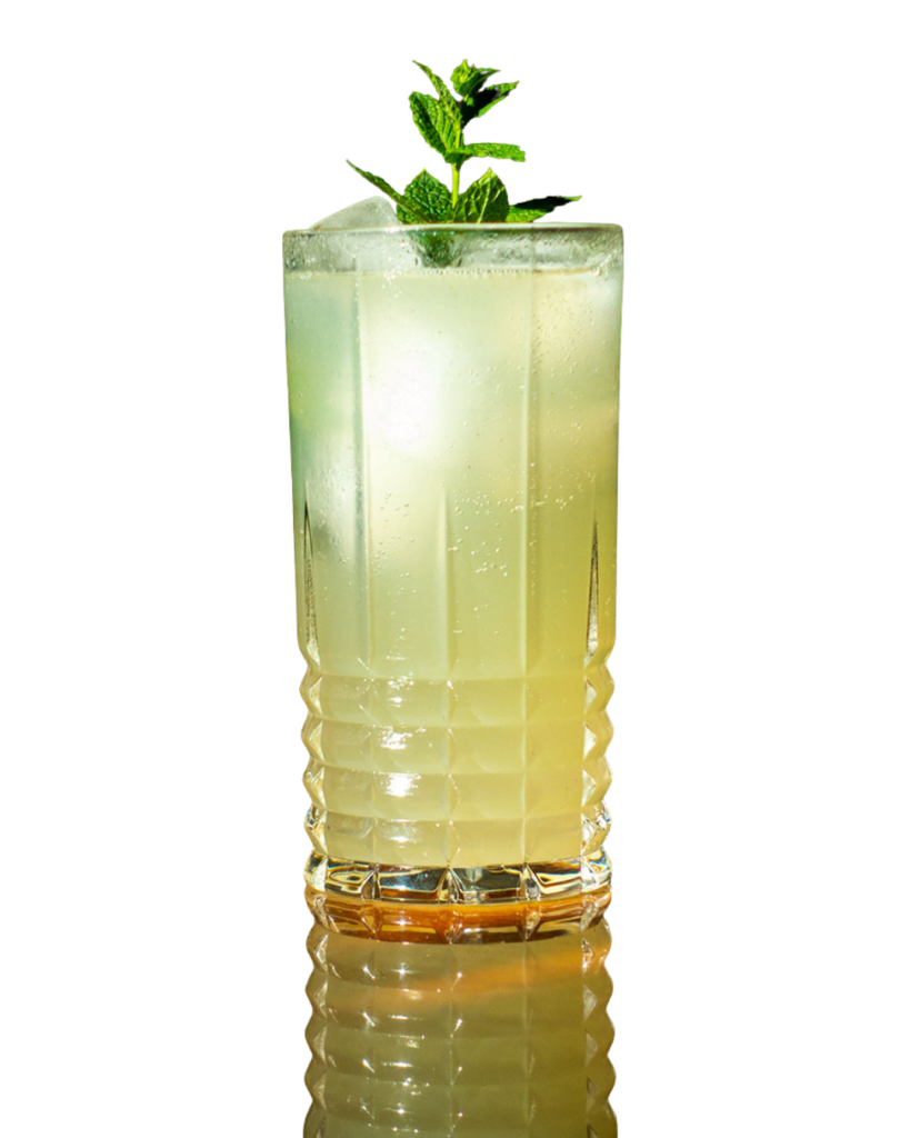 gin-gin-mule